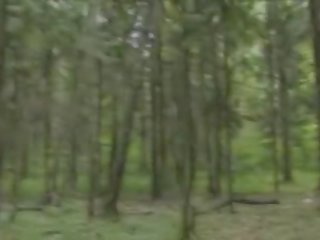 Avventura bj in il foresta